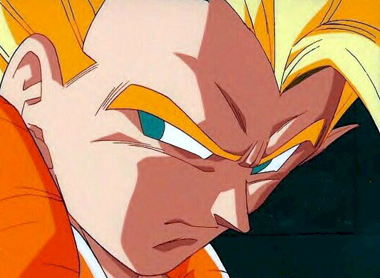 Otaku Gallery  / Anime e Manga / Dragon Ball / Cels / Gogeta / 021.jpg